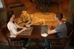 动物城般的酒店,你住过吗
