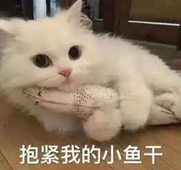 她这是又要做湾仔码头了
