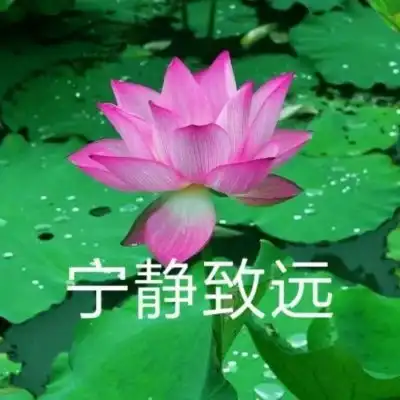 君兮染安度晚年
