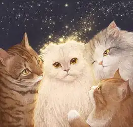 视觉体验前程似锦
