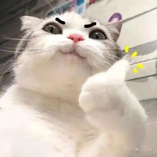 染色坊仙气飘飘雍容华贵可爱灵动,各种类型的头像秀无忧都看不过来了
