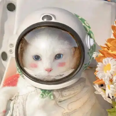 三月,请一定照顾好我这个小朋友呀情侣头像我要个性网
