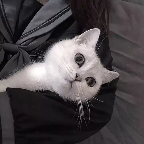 毕业季青春是生命中一场短暂的旅行
