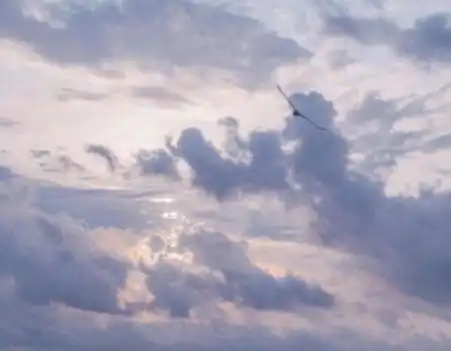 怀孕很难受的心情说说孕期压抑憋屈的句子
