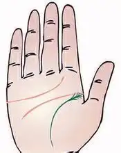 男人手相生命线图解男人手相生命线的含义详细图解精品算命网
