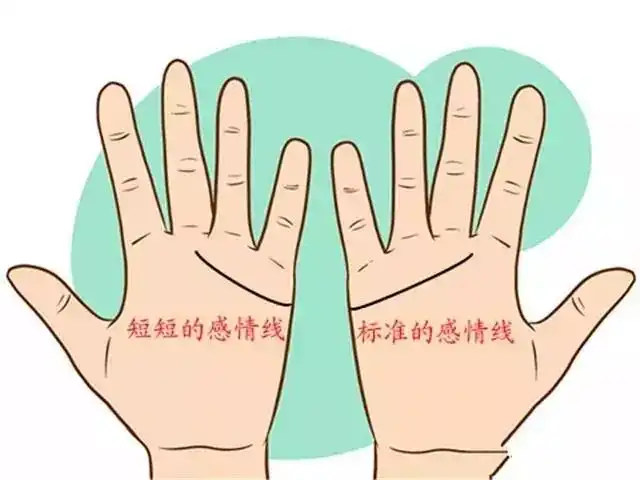 手相测你们之间是否投缘,如何通过手相找对另一半
