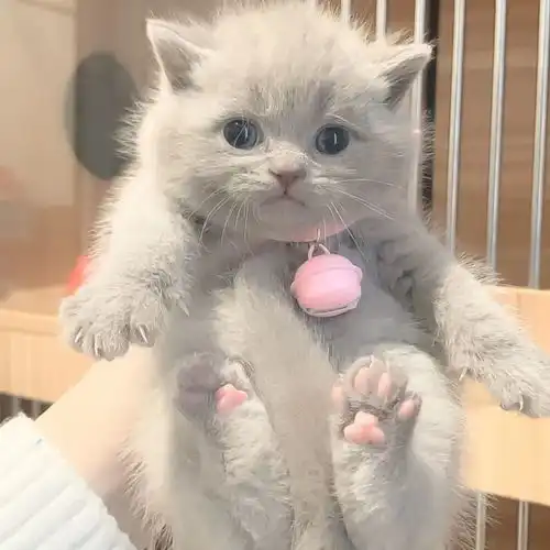 头像今天的杂七杂八都是快乐
