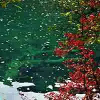 小清新范的自然风景微信头像图片大全
