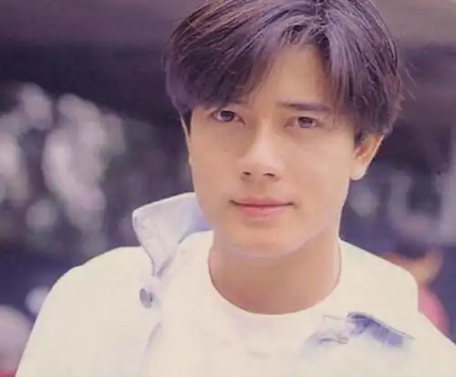 盘点巅峰颜值最迷人6大明星,谢霆锋上榜,郭富城帅裂苍穹
