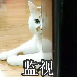 网红纷纷转型当演员,有人惊喜有人惊吓
