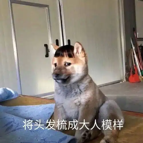 十条笑话不要动不动就跟老公吵架,无理取闹的女人没人喜欢的
