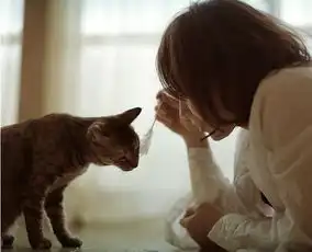 cora是个慵懒的女人
