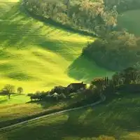 草地的风景头像图片大全微信头像图片大全
