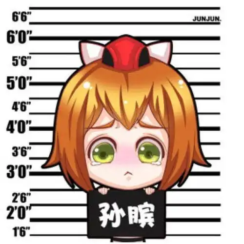 王者荣耀五黑头像你被逮捕了
