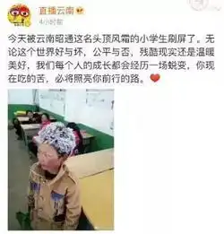 男孩冒冰霜上学造型走红网友心疼
