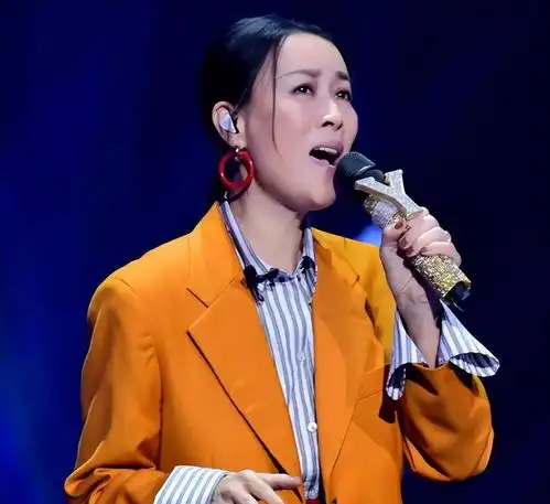 那英260万翡翠戒指
