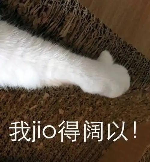 养猫的好处有哪些养过猫的人都知道
