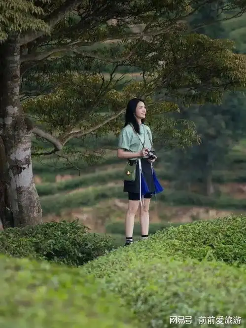 这座散发着淡淡茶香的城市,吸引了姚晨等名人亲临探访
