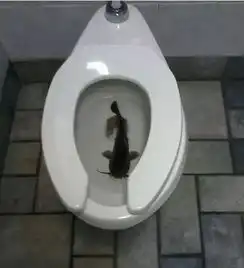 如此机智的神回复,脑洞也是大的没边了...
