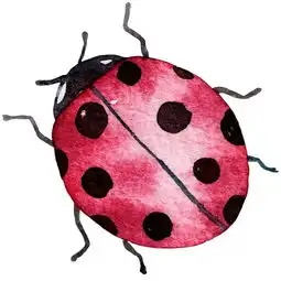 手绘水彩瓢虫图片素材模板下载1.33mb动物大全自然
