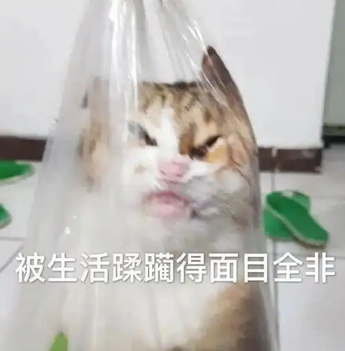 表情包商店日常沙雕表情包动图
