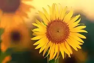 天气好or天气坏,都要有一个好心情
