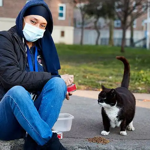 打开门看见橘猫在床上安睡,温馨微笑后回过神你不是我家的猫吧

