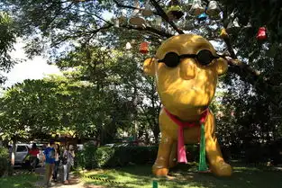 爱在清迈,泰囧才精彩
