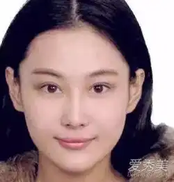 吴昕赵丽颖刘亦菲明星证件照谁没法见人
