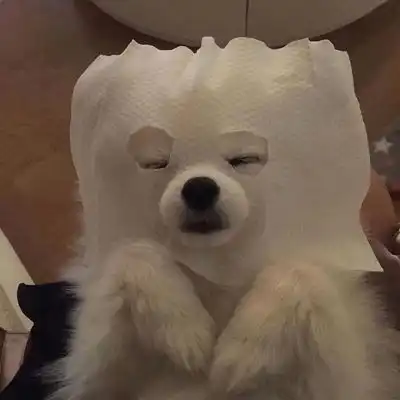 可可爱爱沙雕高级头像拿图点赞
