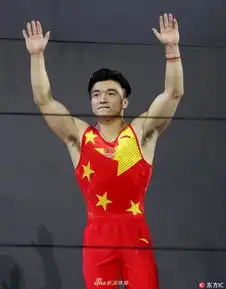 体操世锦赛刘洋男子吊环摘铜
