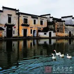 黄山旅游攻略祖国名山等你来14
