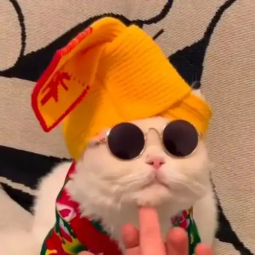 沙雕双人头像可做闺蜜头像或情头
