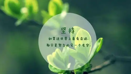 做好三件事,三十岁不晚,一切刚刚开始
