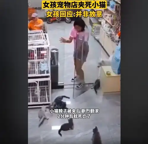 女孩宠物店内推门夹死小猫被网暴,店长发声不想影响女孩的生活
