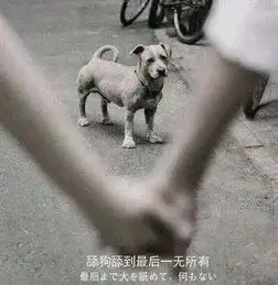 我一个人在南宁生活得很好,为什么要结婚
