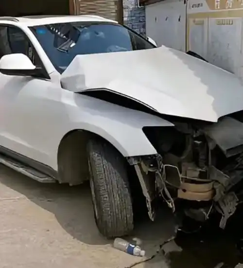 市政协委员撞死人大代表获刑15年赔偿650万元获谅解,引发质疑
