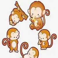 属猴的非常招财的微信头像微信头像图片大全
