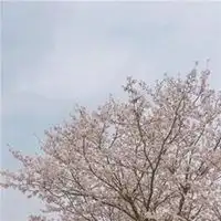 最好看的微信风景头像意境微信头像图片大全
