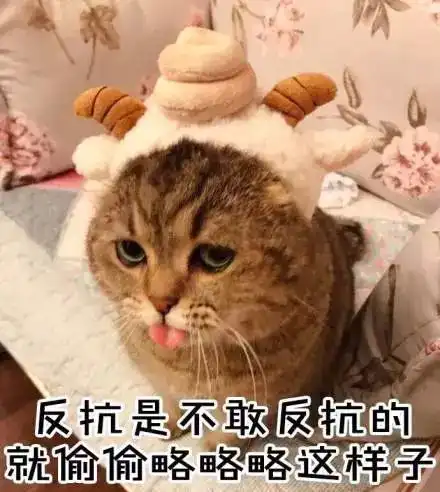 特别显高级这家气质爆棚的卫衣外套,好看又百搭
