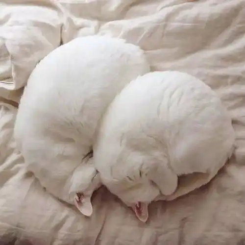 这是我向往的生活
