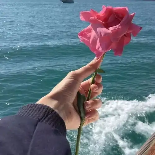 背景图丨以前喜欢一个人现在喜欢一个人
