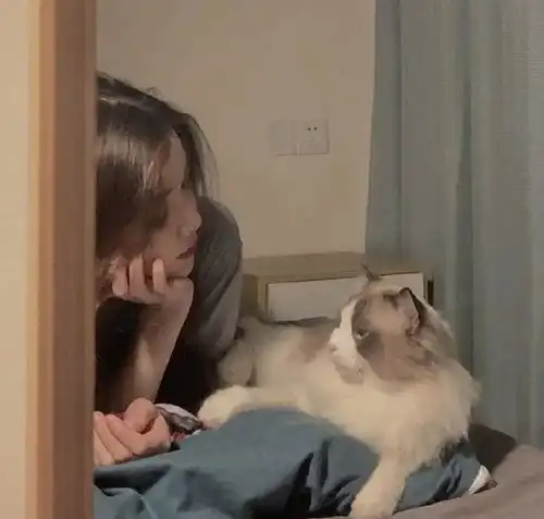 我的收藏
