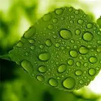 男人招财辟邪好运风景微信头像微信头像图片大全
