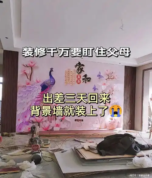 父母帮儿子装修新房,卫生间装双排马桶,花开富贵风格第一
