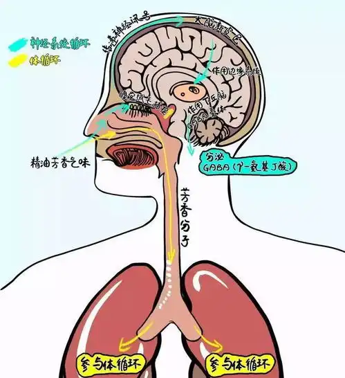 李小冉新照素颜惹人羡,全身无色差白到发光,曾透露秘诀却没人信
