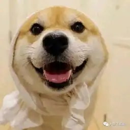 从苏打绿,到35岁的乐坛新人吴青峰
