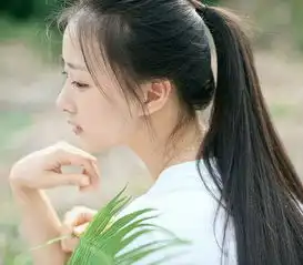 十二星座的东西
