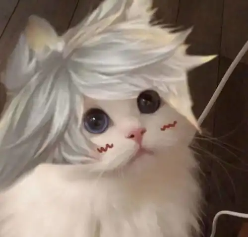 王者荣耀猫猫换头图五岳五神兽专辑
