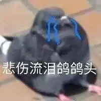 有哪些句子是一看就很沙雕搞笑的
